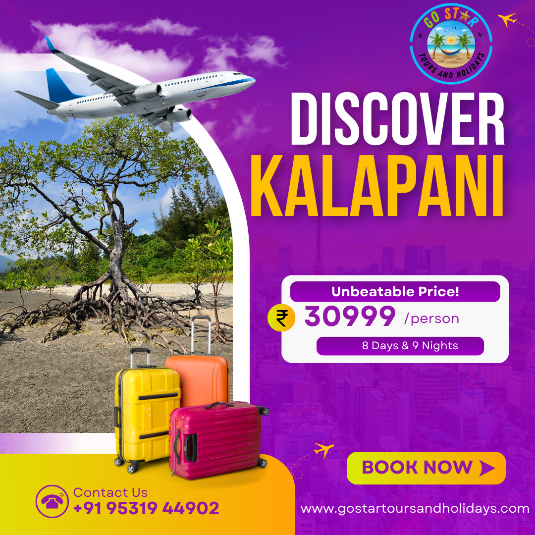 Travel Package Image